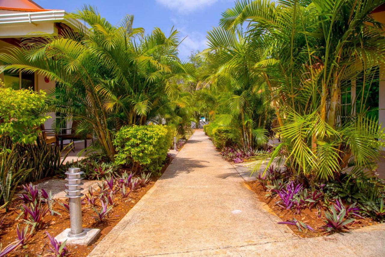 Solare Sai Ecohotel (Adults Only) San Andrés 외부 사진